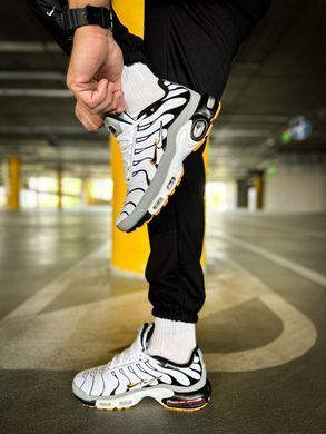 Кросівки Nike Air Max Plus TN Mean Grey-White Double Swoosh, 42