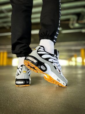Кросівки Nike Air Max Plus TN Mean Grey-White Double Swoosh, 42