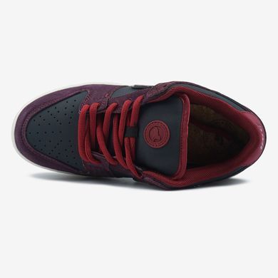 Кросівки Nike SB Dunk Low x Riot Skateshop, 40