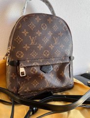 Рюкзак Louis Vuitton Backpack Bag Monogram 25 Brown Premium, 25