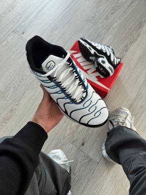 Кросівки Nike Air Max TN Plus Pure Platinum Court Blue