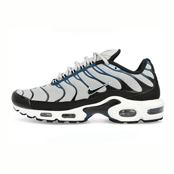 Кроссовки Nike Air Max TN Plus Pure Platinum Court Blue, 44