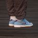 Кросівки NK SB Dunk Low &ldquo;Philllies&rdquo;, 36