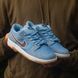 Кросівки NK SB Dunk Low &ldquo;Philllies&rdquo;, 36