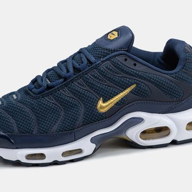 Кросівки Nike Air Max TN Plus Blue Gold White, 40
