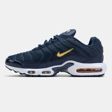 Кросівки Nike Air Max TN Plus Blue Gold White, 40