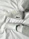Кросівки Nike W Air Max 90 PRM White