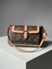 Сумка Louis Vuitton Diane Brown/Pink, 25х15х7