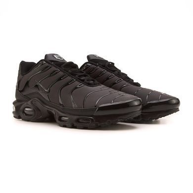 Кроссовки Nike Air Max TN Plus Chameleon Red, 40
