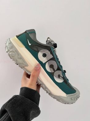 Кросівки Nike ACG Mountain Fly Low 2 'Bicoastal', 40