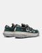 Кросівки Nike ACG Mountain Fly Low 2 'Bicoastal', 40