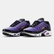 Кроссовки Nike Air Max TN Plus "Voltage Purple"
