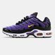 Кроссовки Nike Air Max TN Plus "Voltage Purple"
