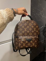 Рюкзак Louis Vuitton Brown, 29х24х12