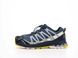 Кроссовки Salomon XA Pro 3D V8 Gore-Tex Blue, 41