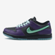 Кроссовки Nike Dunk Low LTD Wizard Limited, 36
