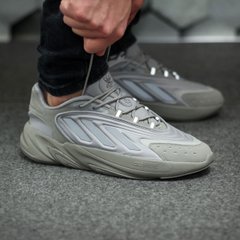 Кроссовки Adidas Ozelia only Grey, 42