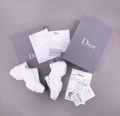 Кросівки Dior D-Connect Sneaker White Winter, 37