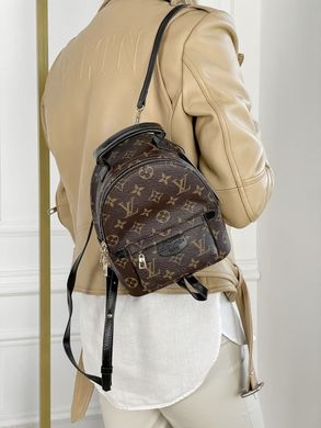 Рюкзак mini Louis Vuitton Brown, 20x18x9