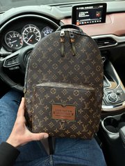 Рюкзак Louis Vuitton Discovery Backpack PM Brown, 40x30x13