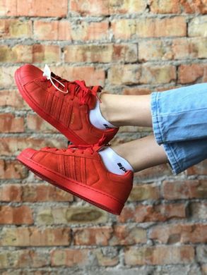 Кросівки Adidas Superstar Red, 37