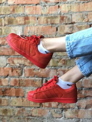 Кроссовки Adidas Superstar Red
