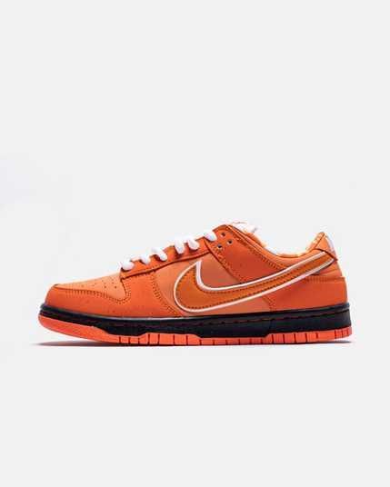 Concepts × Nike SB Dunk 