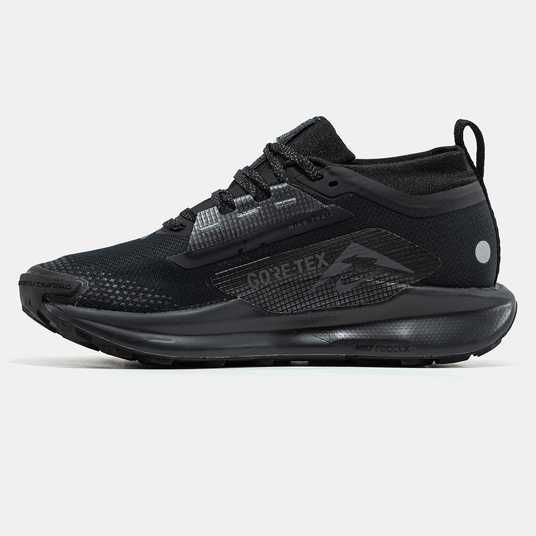 Кроссовки Nike Pegasus Trail 5 GTX Gore-Tex Black Купить (Доставка