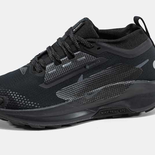 Кроссовки Nike Pegasus Trail 5 GTX Gore-Tex Black Купить (Доставка