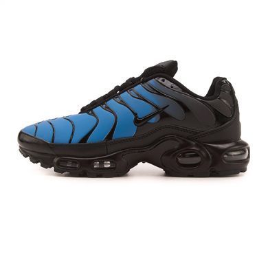 Кроссовки Nike Air Max TN Plus Chameleon Blue, 40