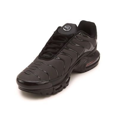 Кроссовки Nike Air Max TN Plus Chameleon Blue, 40
