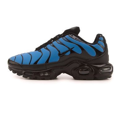 Кроссовки Nike Air Max TN Plus Chameleon Blue, 40