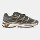 Кросівки Salomon S/LAB XT-6 Beluga Dull Gold, 36