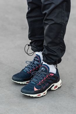 Кросівки Nike Air Max TN Terrascape Plus Blue Beige Pink, 42