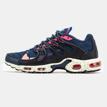 Кросівки Nike Air Max TN Terrascape Plus Blue Beige Pink, 42
