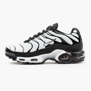 Кросівки NK Air Max Tn White Black, 41