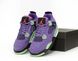 Кросівки Nike Air Jordan 4 Retro Canyon Purple