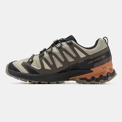Salomon XA PRO 3D V9 Gore-Tex Beige Brown, 41