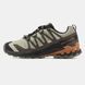 Salomon XA PRO 3D V9 Gore-Tex Beige Brown, 41