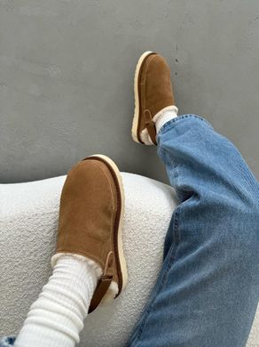 Тапочки UGG Goldenstar Clog Chestnut