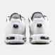Кросівки Nike Air Max TN Terrascape Plus White Blue, 40