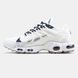 Кросівки Nike Air Max TN Terrascape Plus White Blue, 40