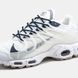 Кросівки Nike Air Max TN Terrascape Plus White Blue, 40
