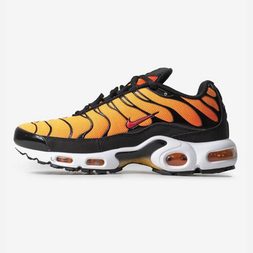 Кросівки NK Air Max Tn Plus OG Tiger, 42
