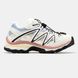 Кроссовки Salomon XT-Quest Beige Pink Blue Black