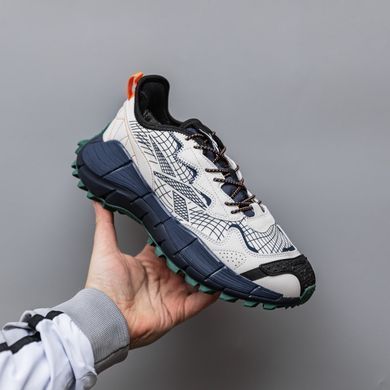 Кроссовки Reebok Zig Kinetica 2.5 Edge Beige Blue, 42