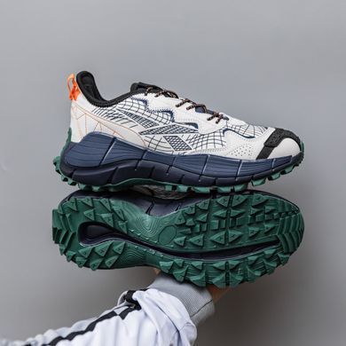 Кроссовки Reebok Zig Kinetica 2.5 Edge Beige Blue, 42