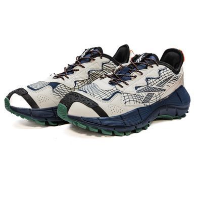 Кроссовки Reebok Zig Kinetica 2.5 Edge Beige Blue, 42