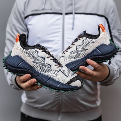 Кроссовки Reebok Zig Kinetica 2.5 Edge Beige Blue, 42