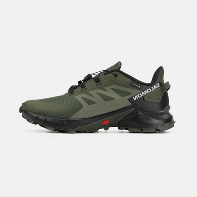 Кросівки Salomon Alphacross 5 Gore-Tex Khaki Black, 41